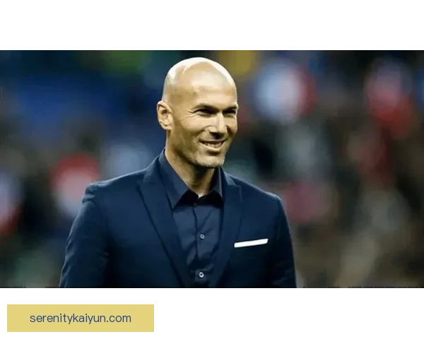 齐达内欧洲杯表现分析：未来赛季走势值得关注